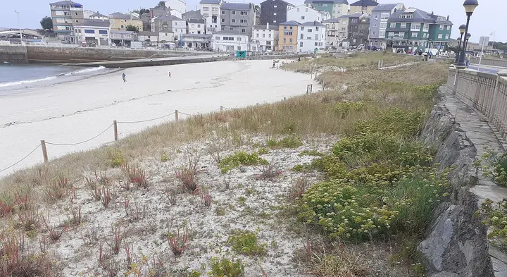 Playa O Torno
