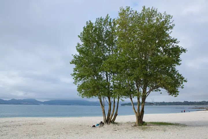 Playa O Vao