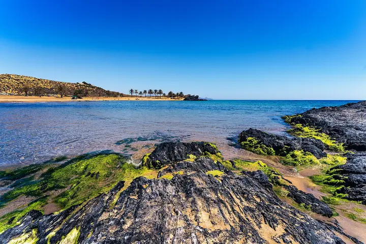 Playa Percheles