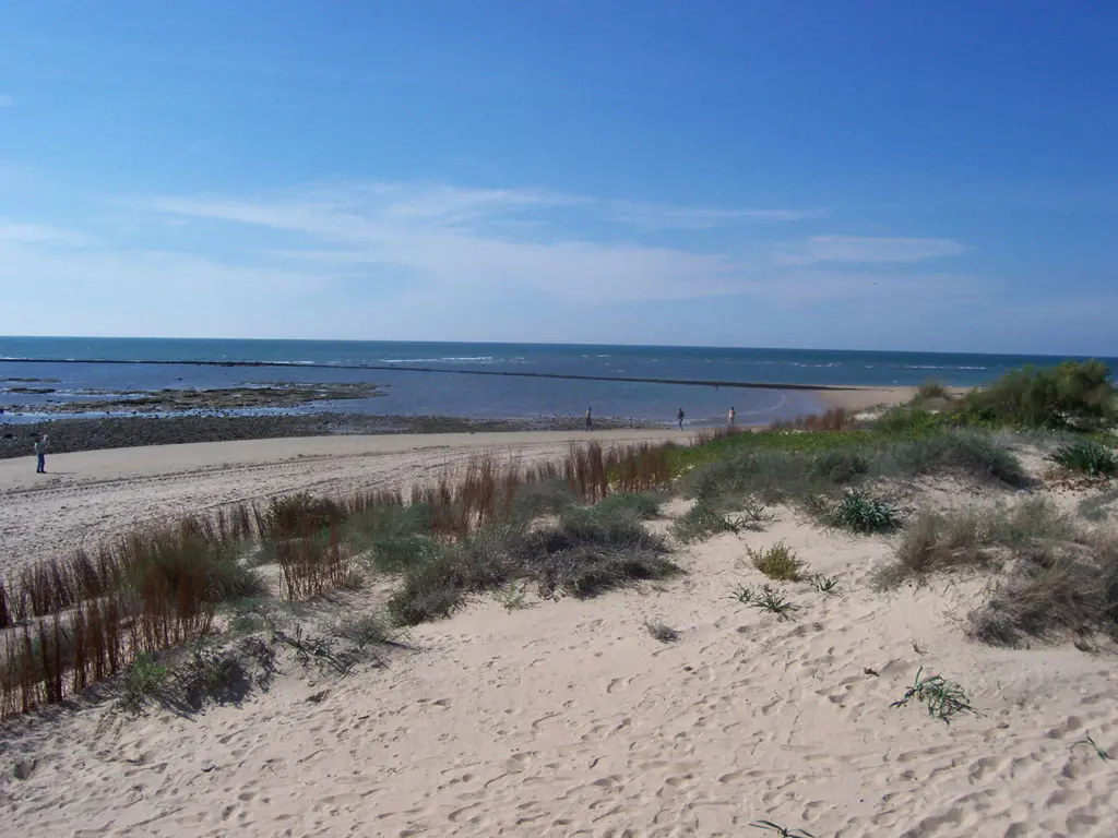 Playa Punta Candor