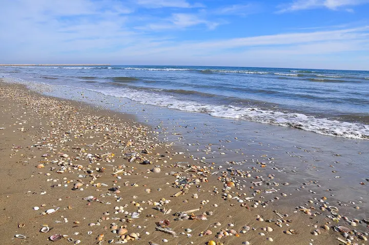 Playa Punta del Moral