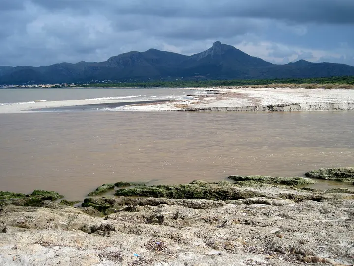 Playa Son Serra