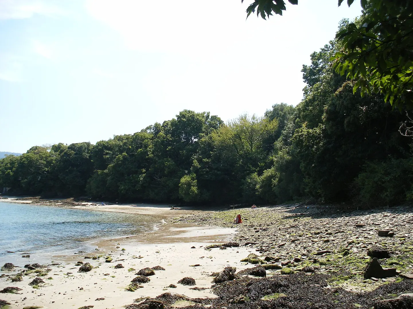 Playa Sopazos