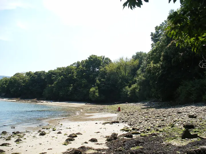 Playa Sopazos