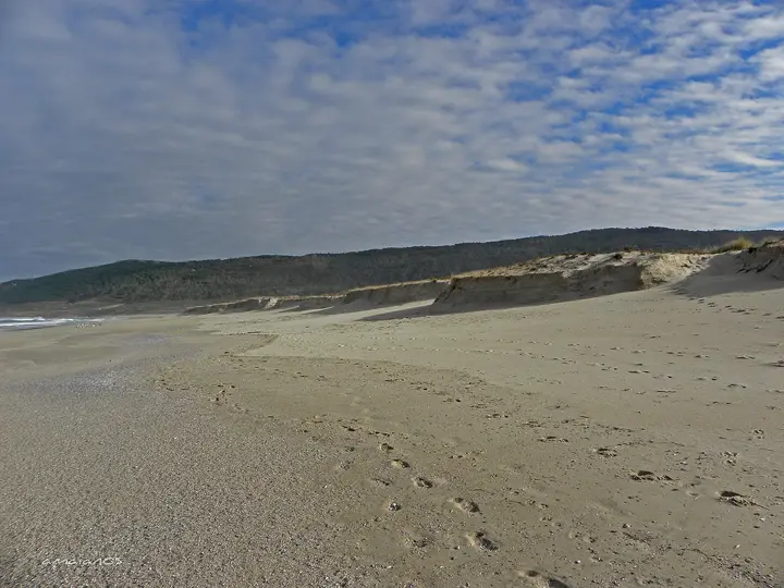 Playa Traba