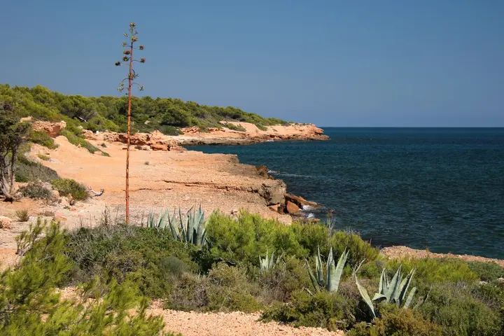 Playa de Port Olivet
