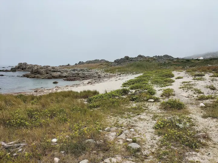 Playa de Porto Negros