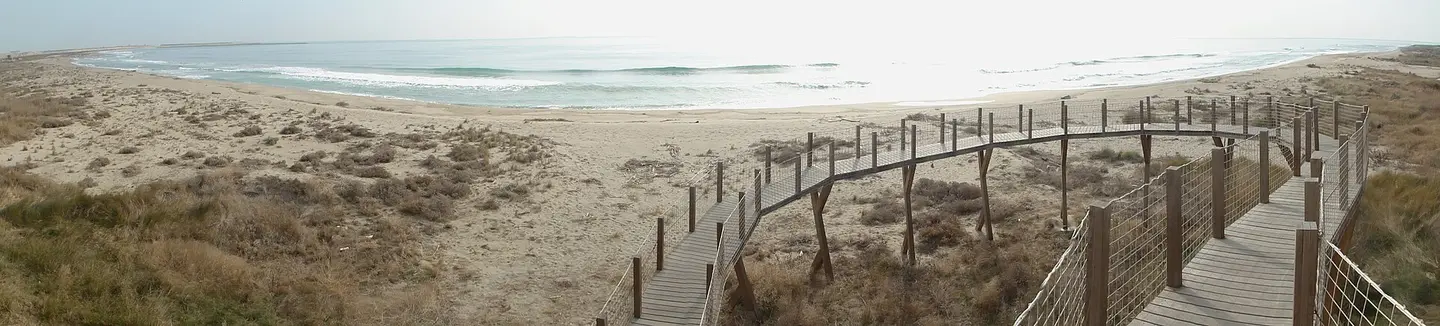 Playa de Protegida sector II