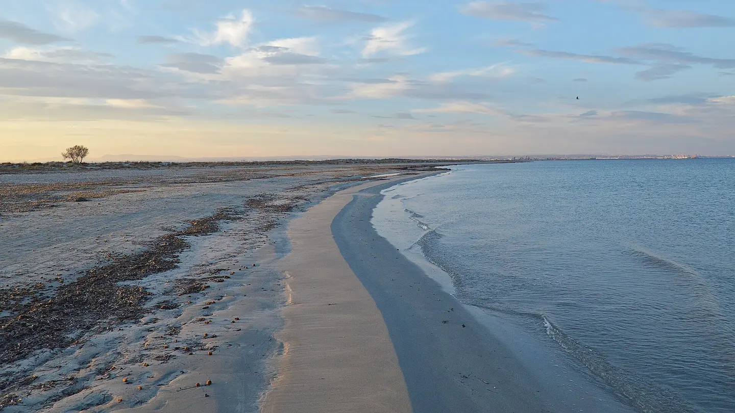 Playa de Punta de Algas (Playas de la Llana)