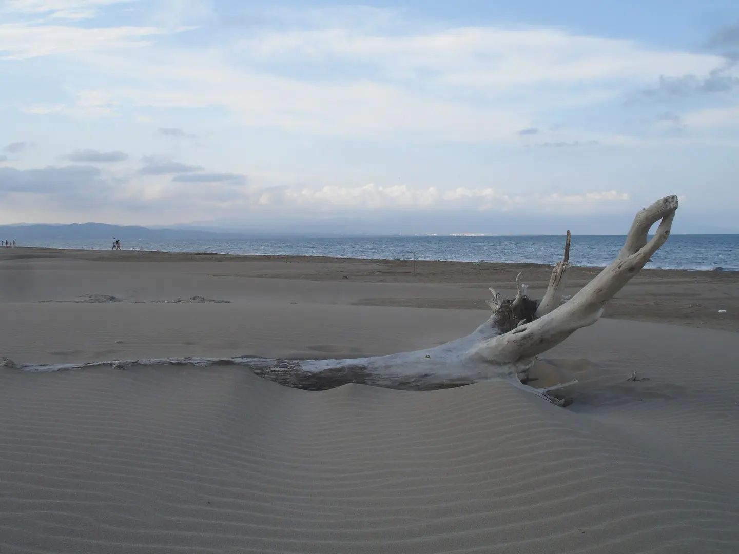 Playa de Punta del Fangar