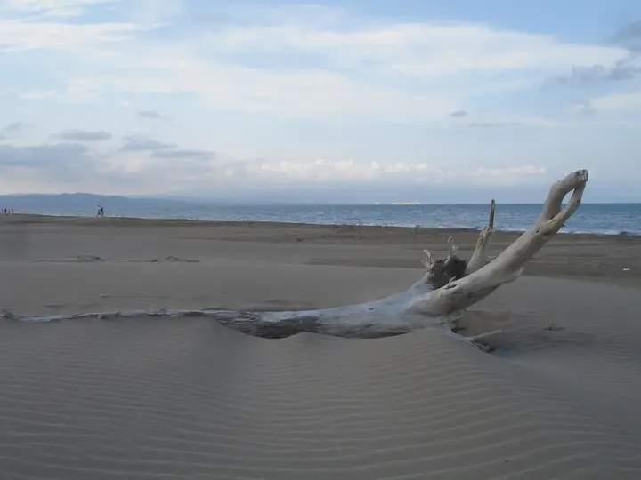 Playa de Punta del Fangar