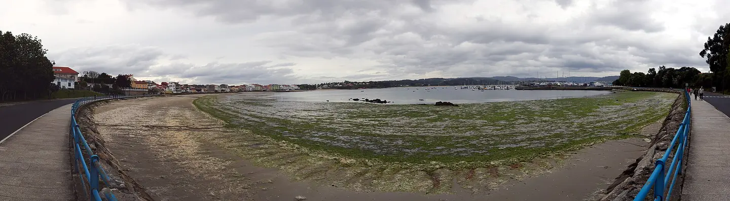 Playa de Ribada