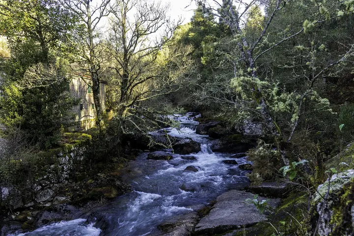 Río Almofrei Cotobade 03