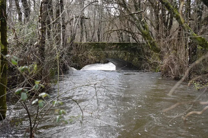 Río Cabras