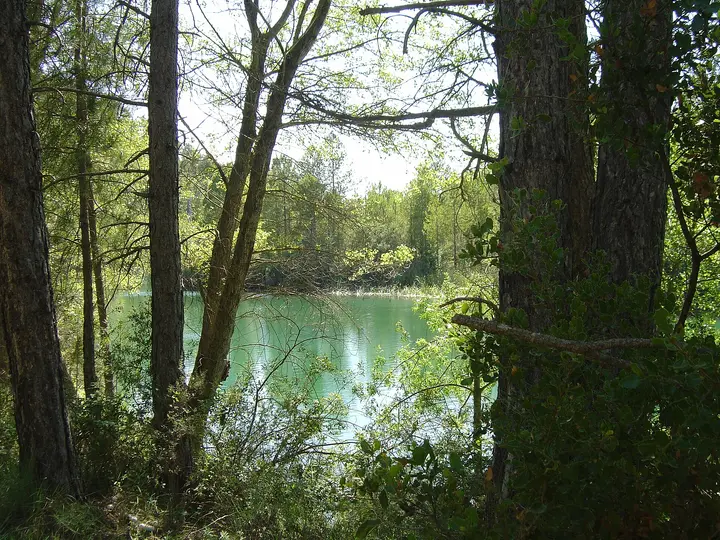 Río Guadiela