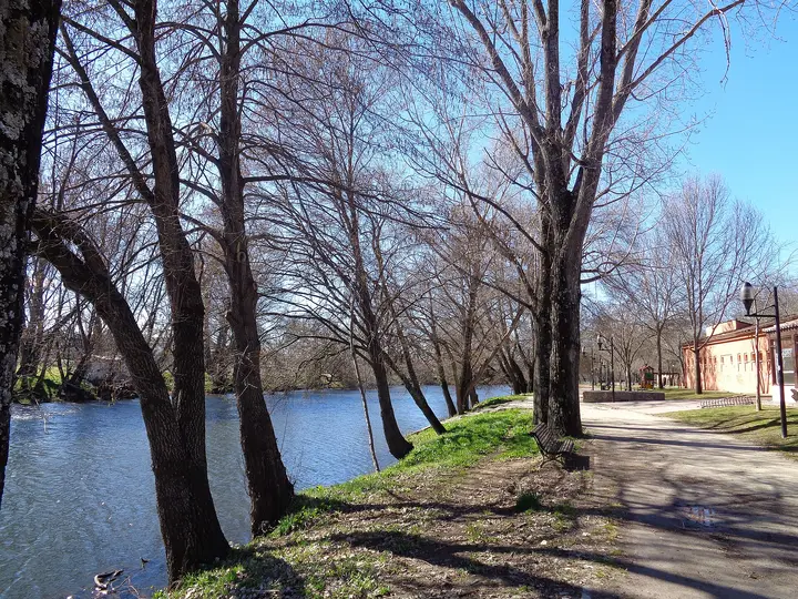 Río Jerte