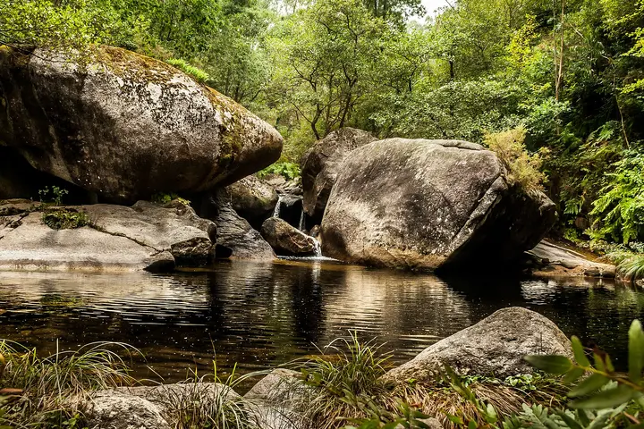 Río Río Tronceda