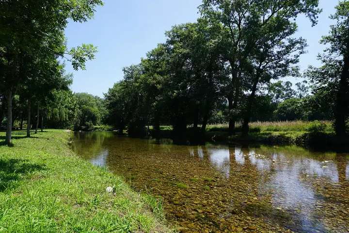 Río Rois