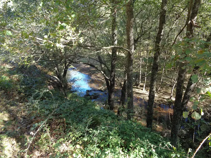 Río Ruecas