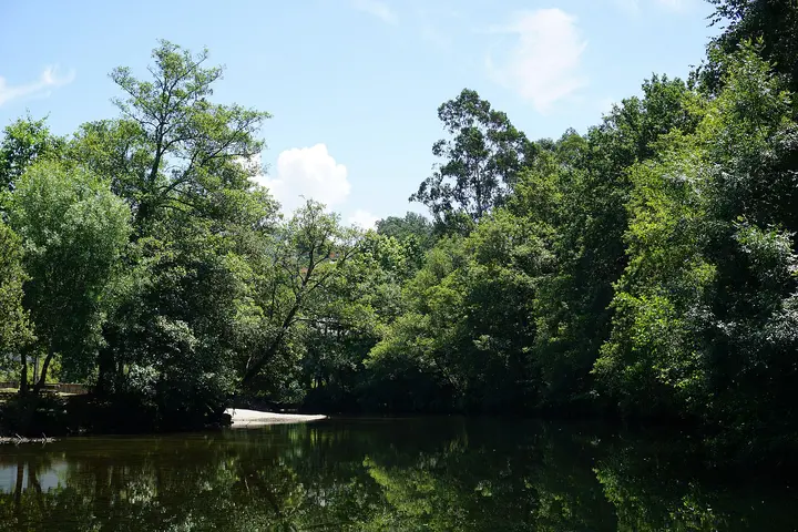 Río Tea Mondariz 02