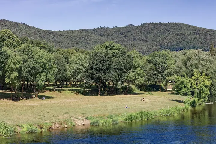 Río Ulla