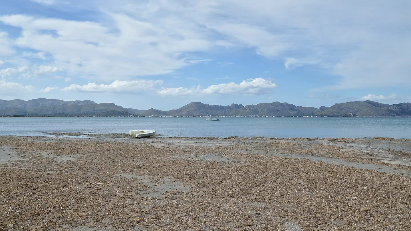 Playa de Sa Marina d'Alcudia
