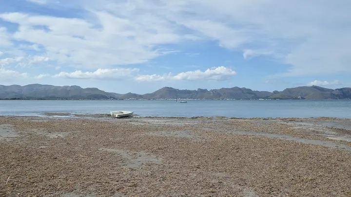 Playa de Sa Marina d'Alcudia