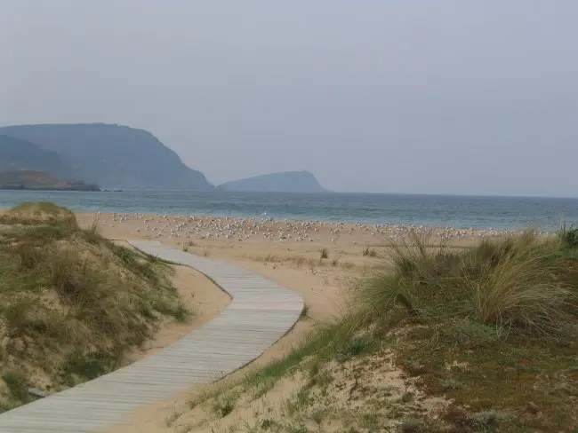 Playa de San Román
