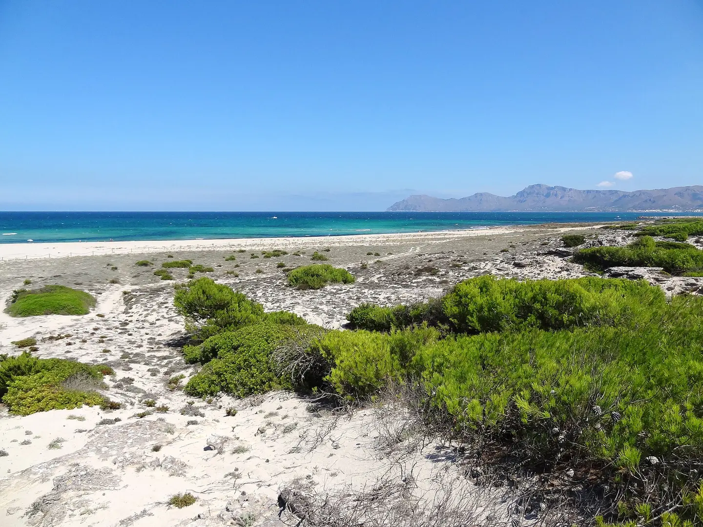Playa de Son Real
