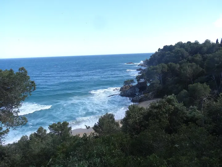 Playa de Treumal